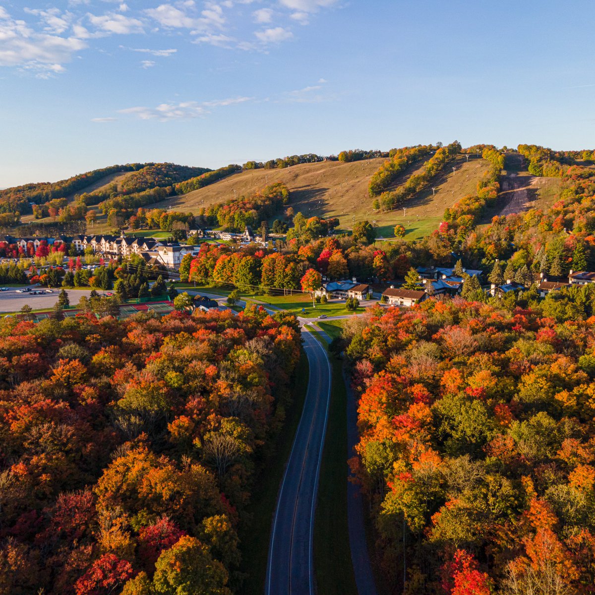The golden season during the golden hour. 🍂🌞