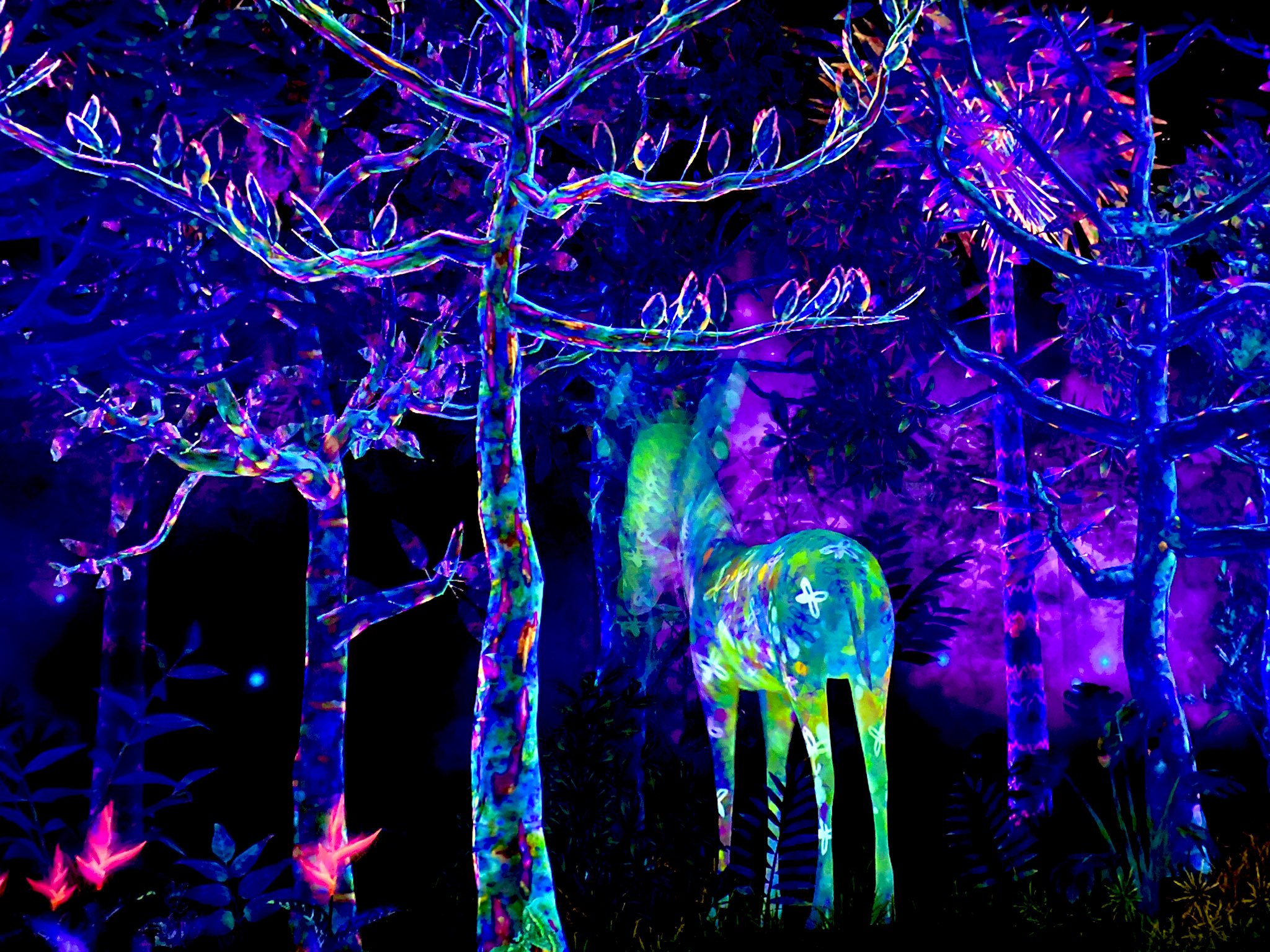 تويتر Feel Fukuoka Japan على تويتر チームラボフォレスト福岡 Sbi証券 Sbhawks Ezofukuoka イーゾフクオカ Teamlab チームラボ T Co Zbay356ugt