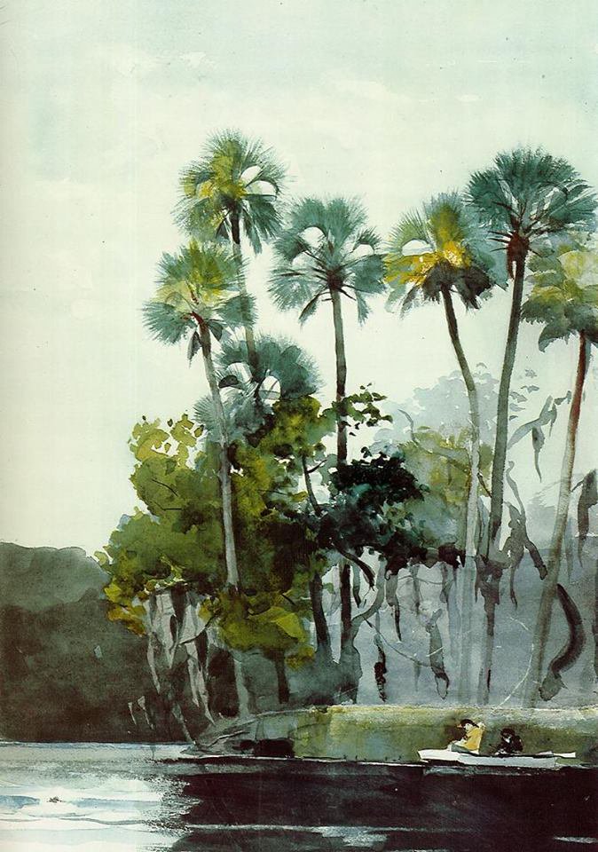 Winslow Homer, Homosassa River, Florida. 1904. Watercolor