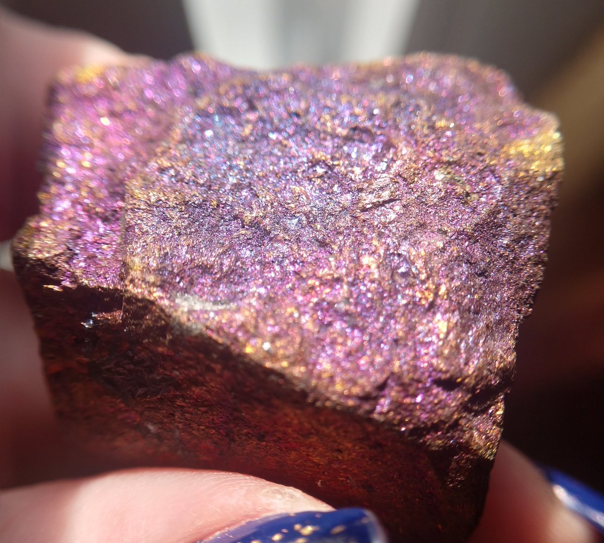 Day 5  #Rocktober  #PurpleNGL, I like rocks cause they're pretty. Like this piece of Chalcopyrite!  It's a copper iron sulfide mineral, which is typically brass yellow. This one has a purple tarnish to it, and it glitters! Thanks to  @FossilLocator for the identification. 