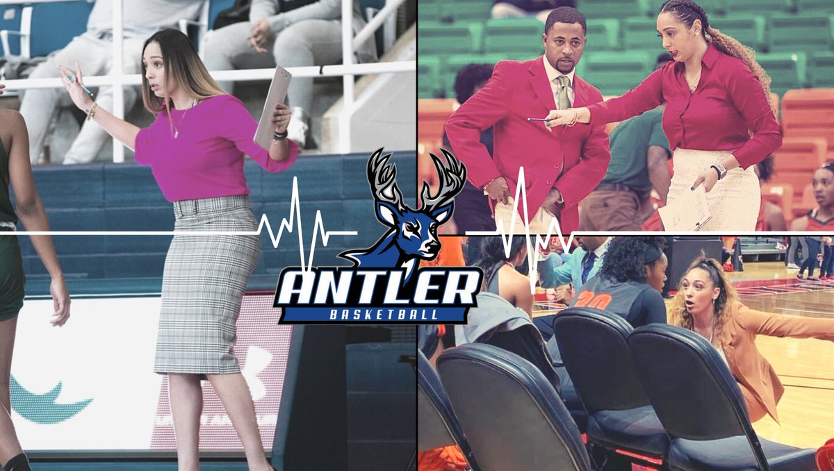 Lady Antler WBB Hoops tweet media