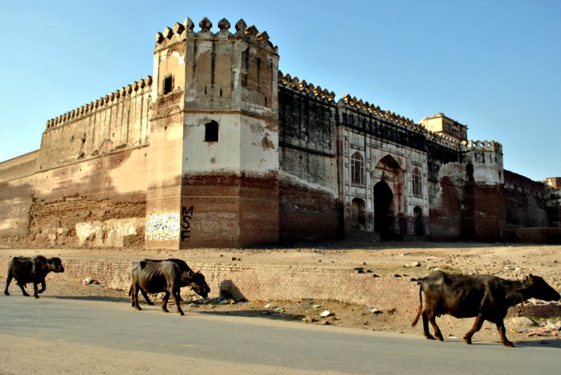 The extreme case is certainly Pathargarh in India which is 600m across (1). These forts are almost always built in the plains where there are little other geographical features to make use of. Their simple design makes them cheap and quick to construct.