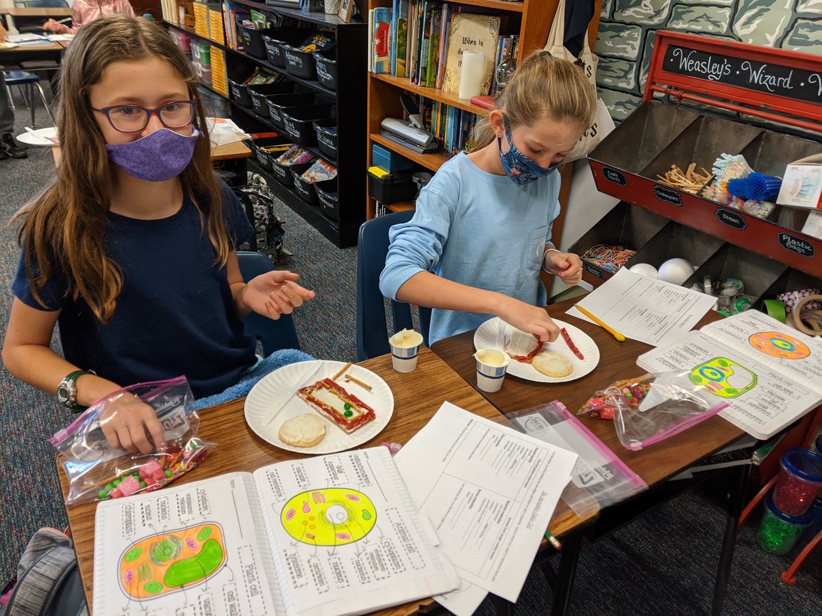 STEMismyJAM's tweet photo. Today, we made edible plant and animal "cells" to review the organelles we have learned about in this science unit. (We may have also taste-tested a few!) Families, students are coming home with at least one intact cell to show you. @cfesmustangs #futurebiologists https://t.co/c99RCWHhY4