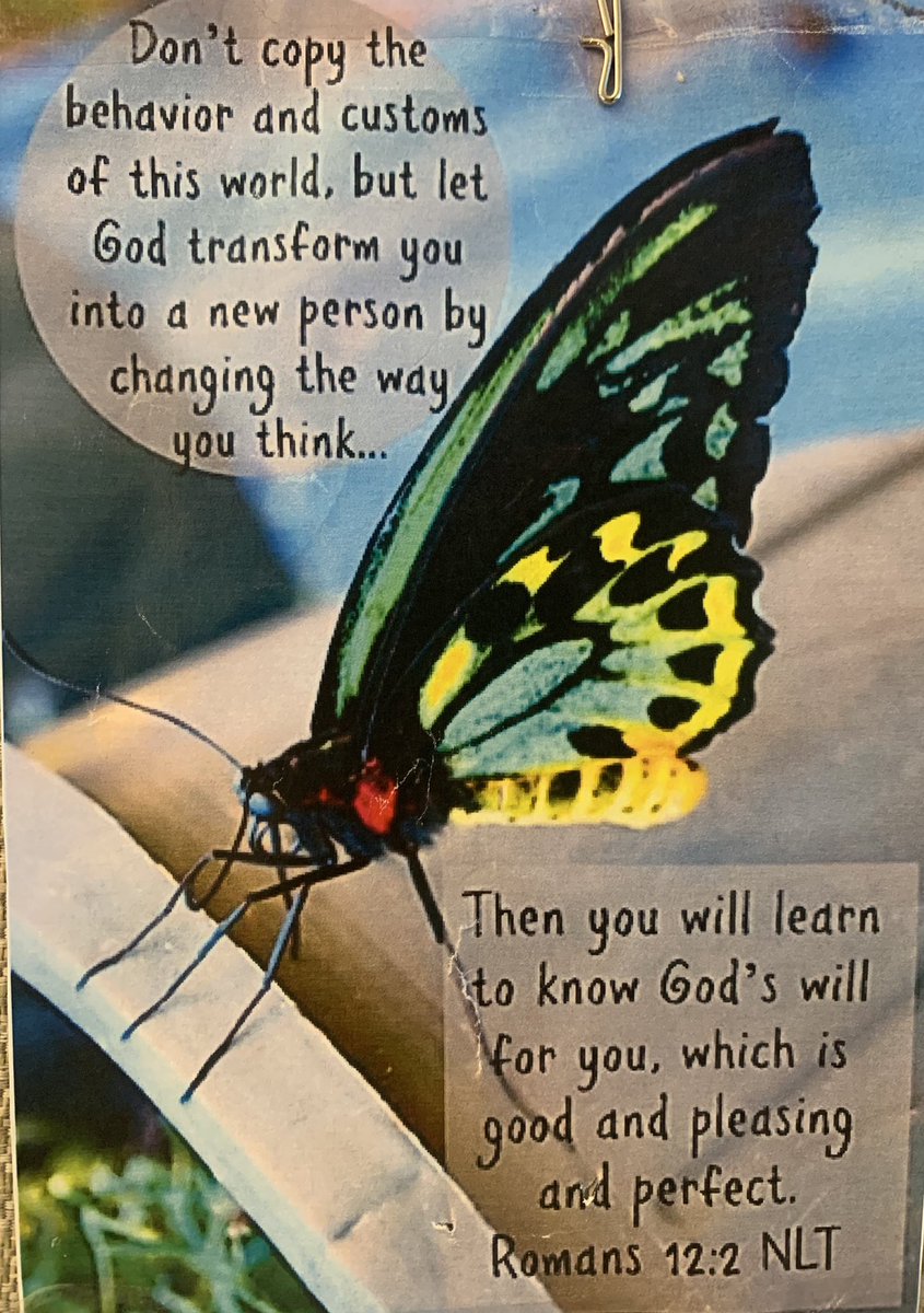 BossLadyHaywood's tweet photo. Keep “GrindinInSilence” 💙@CurtGoneBad @T_Slavey @HaywoodCherish @FatherOfADragon Lovely #wegotnext #godplans #faith #fearnooneButGod #patience #trustingtheprocess #familyovereverything✊🏾 https://t.co/134peyCpXG
