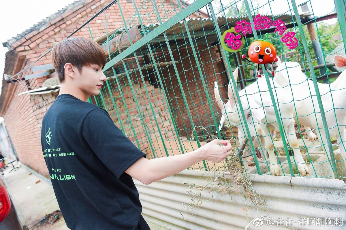 i believe that we need a collection of junhui with real animals