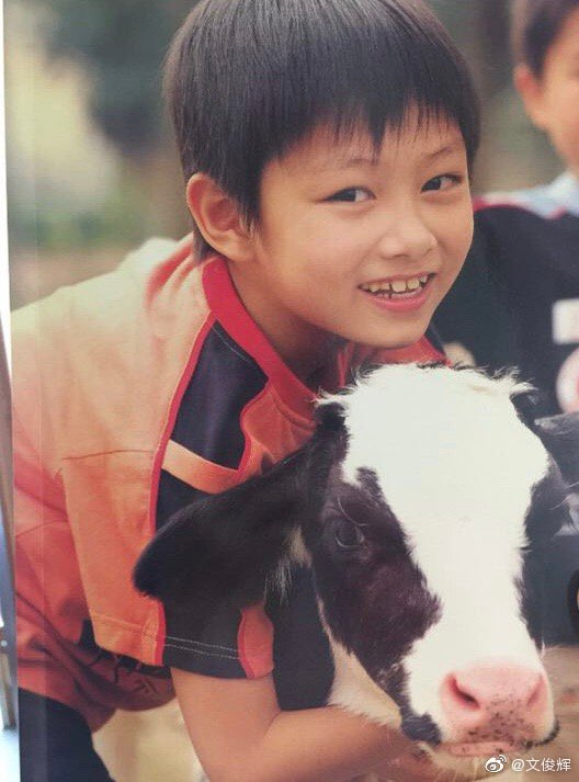 i believe that we need a collection of junhui with real animals