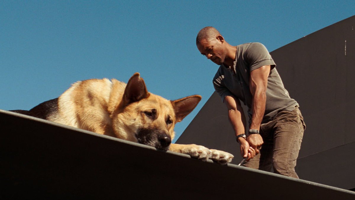 я легенда расширенная версия