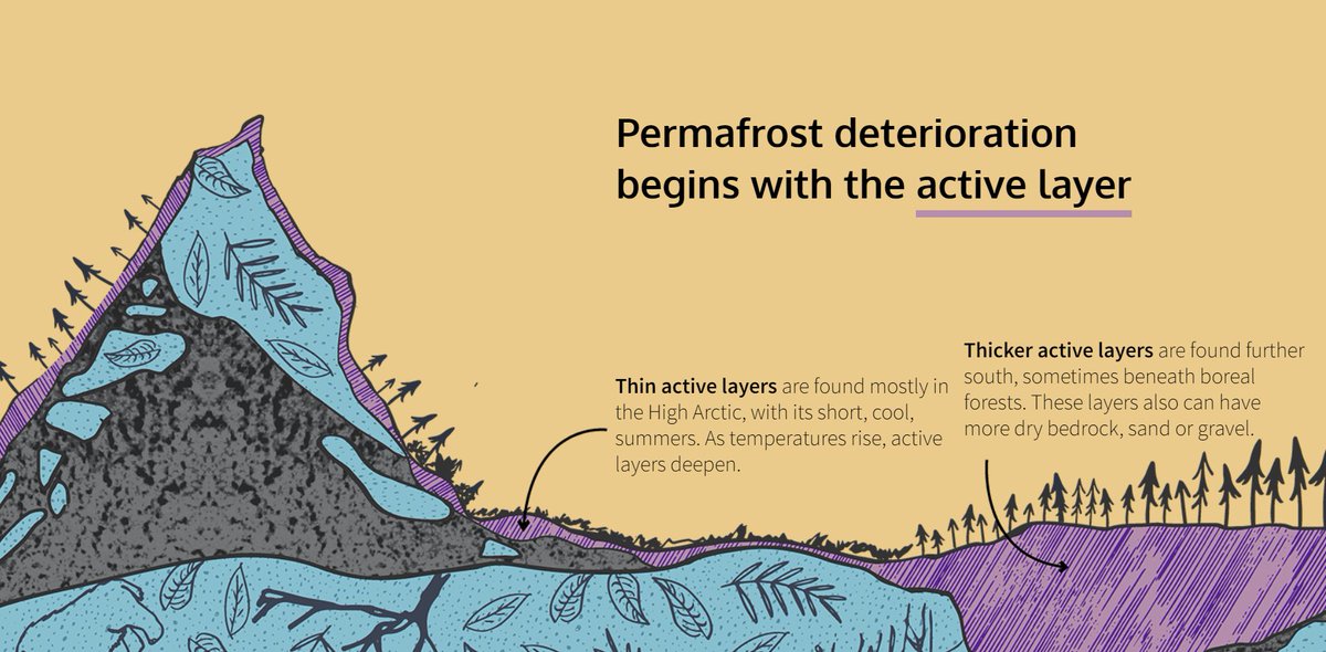Just centimeters below the Earth’s surface is a ticking time bomb that could detonate as global temperatures rise. It's called permafrost  https://reut.rs/3d1BrOn  via  @ReutersGraphics 1/6