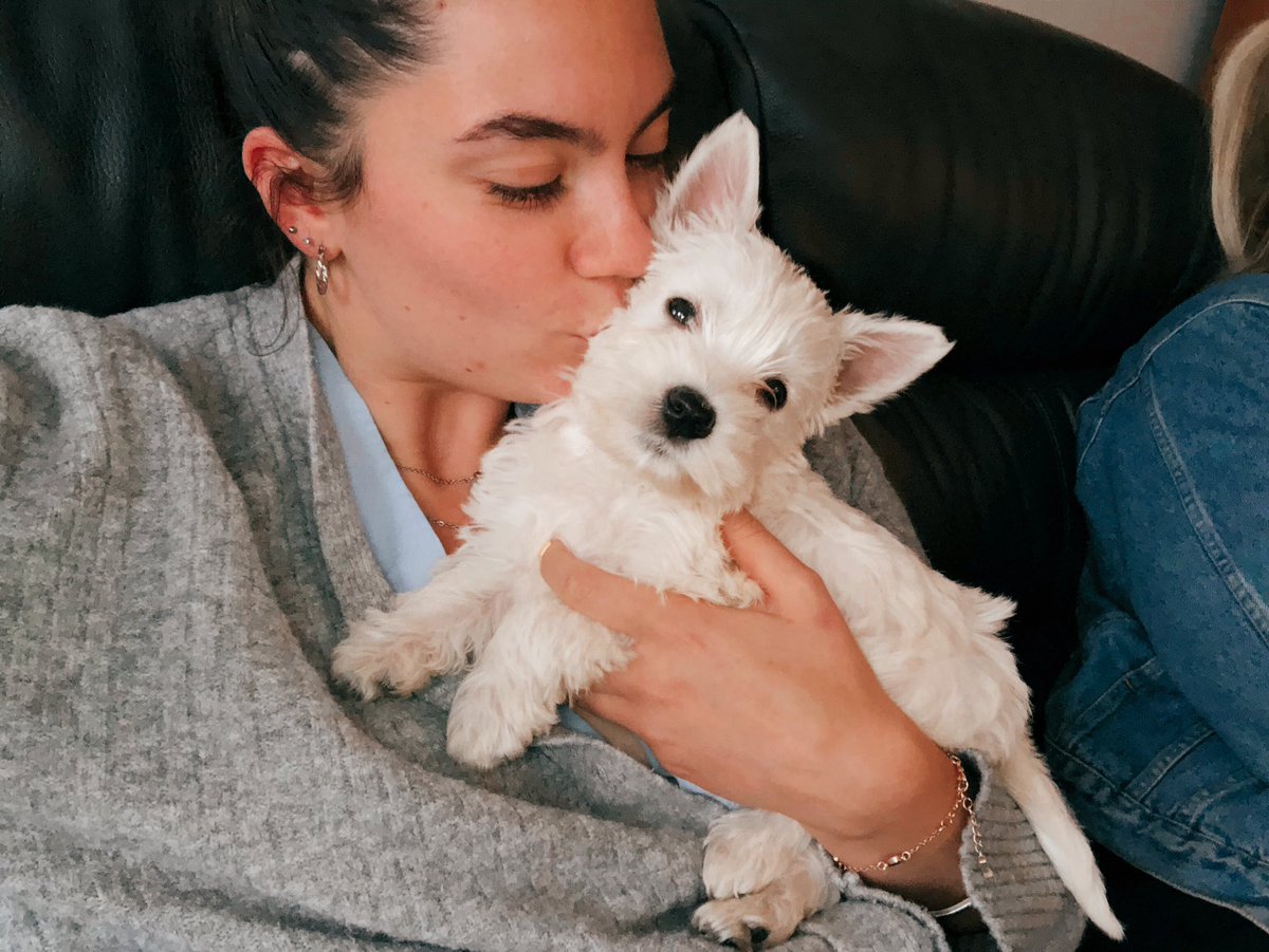 ailsaaa_x's tweet photo. Buddy Biggerstaff welcome to the family! I’m so obsessed with you 🥺❤️ https://t.co/e9erUFSOkT