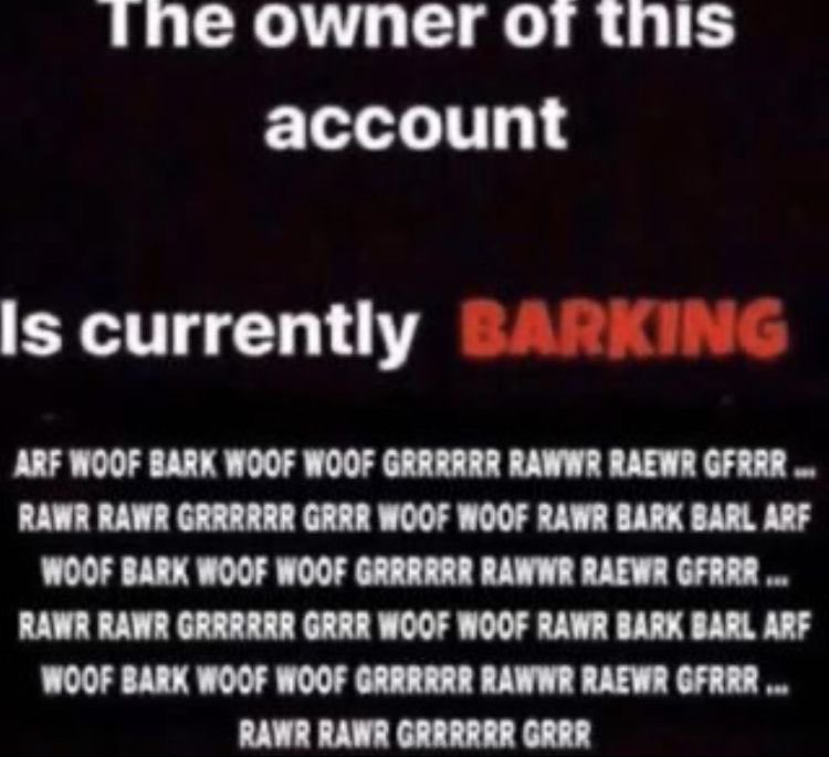 ʕ ˘ Ⱉ ˘ ⠕ʔ tweet media