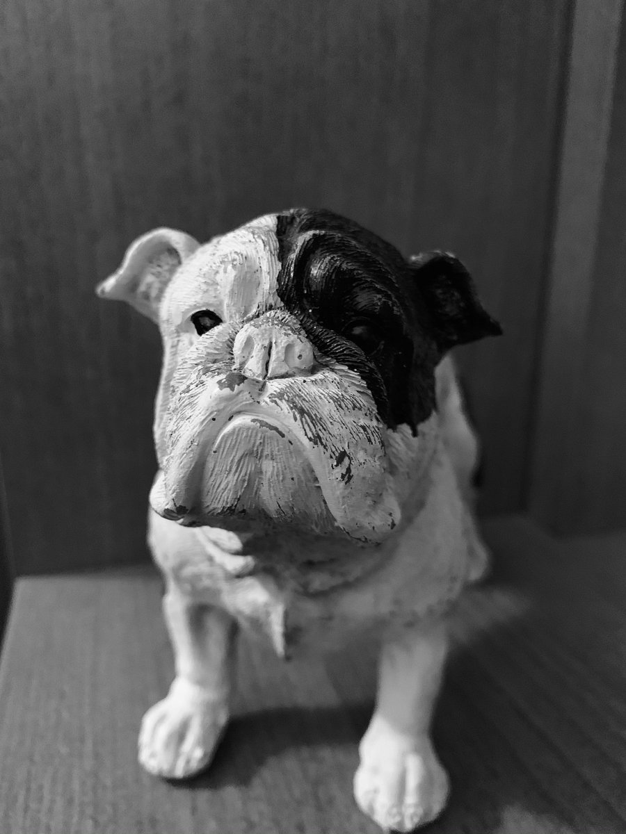 MrLandvick's tweet photo. Today is Black ⚫️ and White ⚪️ Film Day 🎥 🎞 Let’s See Your #BlackAndWhite gear today!!     🖤🤍#FallFest2020 @BulldogLife_WHS @WaucondaHS118 @GOWHS_StudSec @Mrs_Fike https://t.co/QZ3qCqHhFx