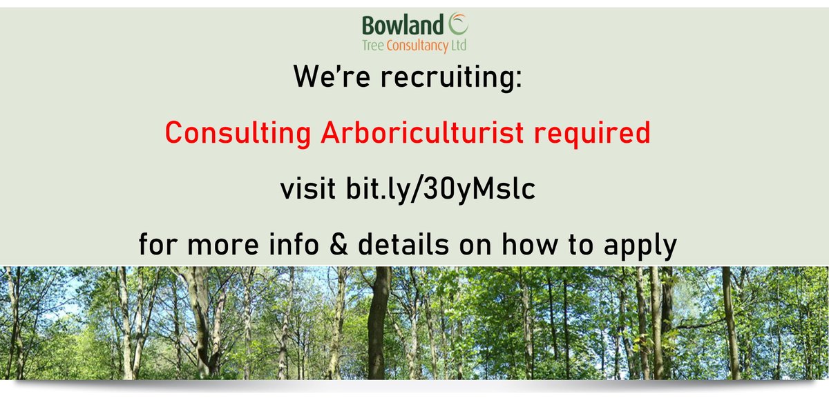 We're recruiting.

We are looking for an experienced Arboricultural Consultant to join our growing team in Preston.

For more details and information on how to apply see: bit.ly/30yMslc

#jobs #trees #arboriculture #careers #wanted