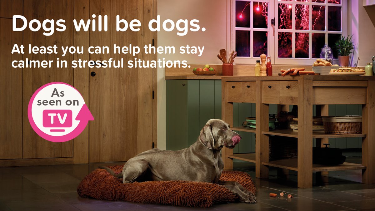 #Dogswillbedogs but at least you can help them feel calmer during #stressfulsituations. #BeapharCaniComfort uses #pheromone technology to reassure dogs, so they can carry on being themselves. Ideal for #fireworks and #bonfirenight youtu.be/XSAhmjCTXlg