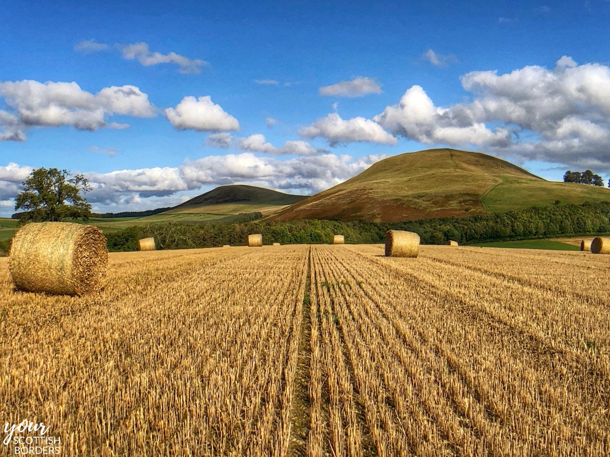 YourScotBorders's tweet photo. 📍 #MintoHills at Harvest 🌾
📸 Douglas Lindsay
ℹ The twin peaks of the Minto Hills above the village of Minto, near #Denholm,
This photo can be found on a range of products in our online #giftstore 👇
https://t.co/7hbyl9qF27
🏴 #ScottishBorders https://t.co/CRzDztvrMp
