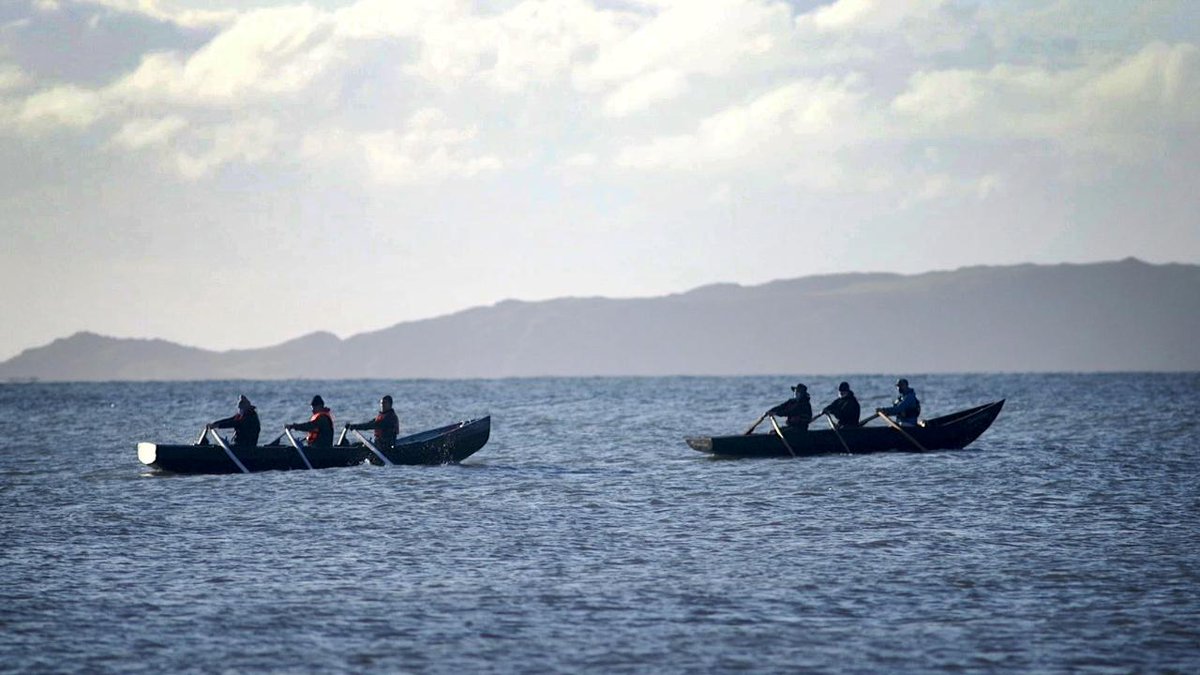 ► VIDEO: "It's escapism, it's exercise, it's fresh air", Skerries men take to the sea in a currach they designed and built themselves irishtimes.com/news/offbeat/s…
