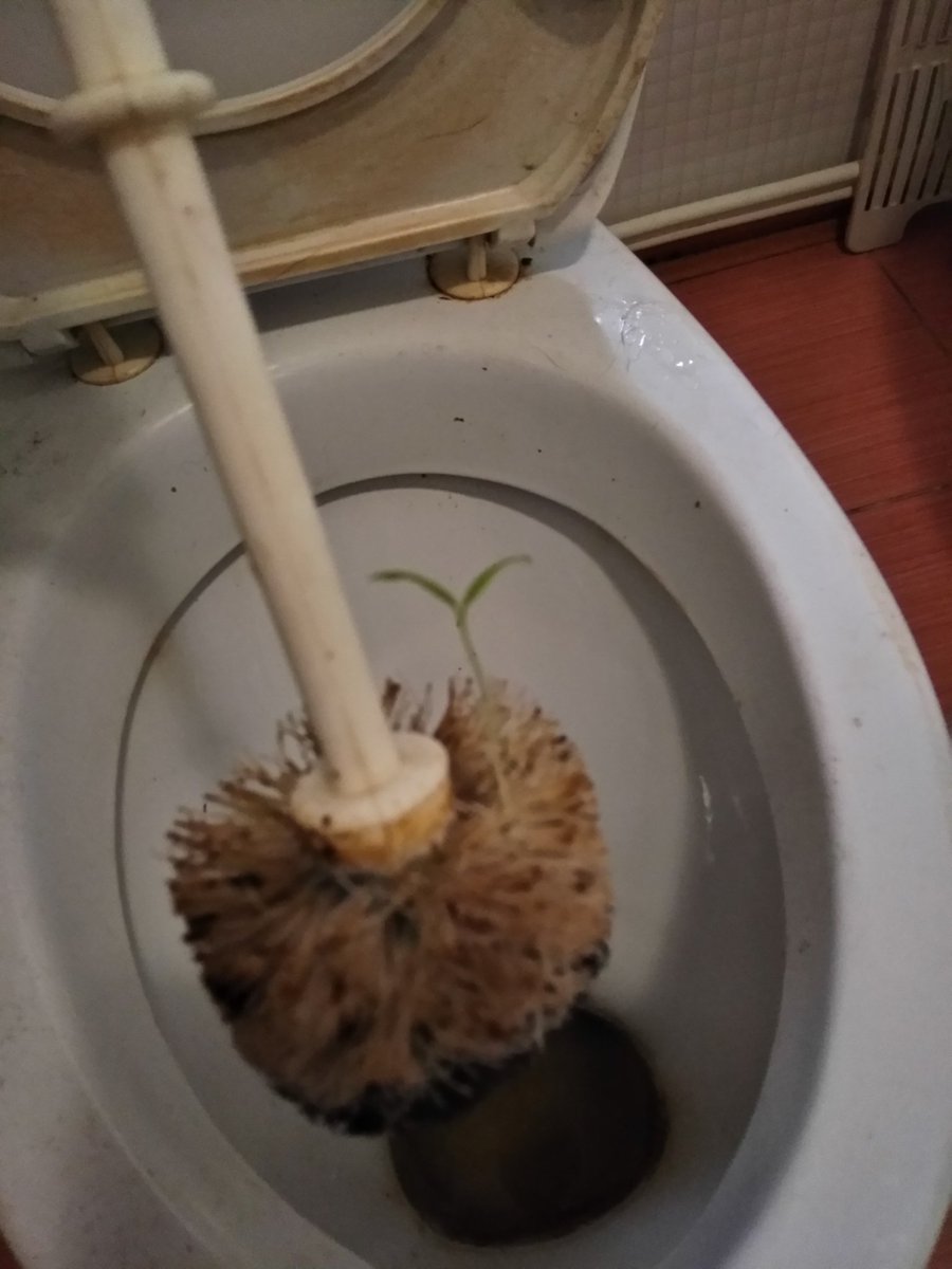 grinenko's tweet image. Новое слово в агротехнике. #говнопоника