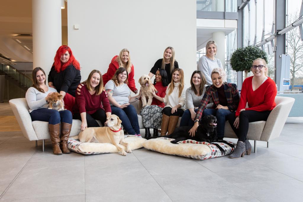 This week we're celebrating #CustomerServiceWeek by shining the spotlight on our AMAZING Purina PetCare Team, who are always busy working behind the scenes to manage our phone lines, answer support emails &amp; respond to your PetCare social queries on the daily! 👫🐶🐱🐾 #NCSW20
