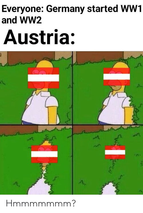 TELawrence1888's tweet photo. A little diplomat birdie just informed me that rumors amongst diplomats are discussing that Austria has something up their sleeve. The Viennase government is trying hard to keep their plans a secret.. we’ll see how long that lasts for😳😝😏@AlisonDawes1 #Kowwi20 https://t.co/BLrXnqn19S