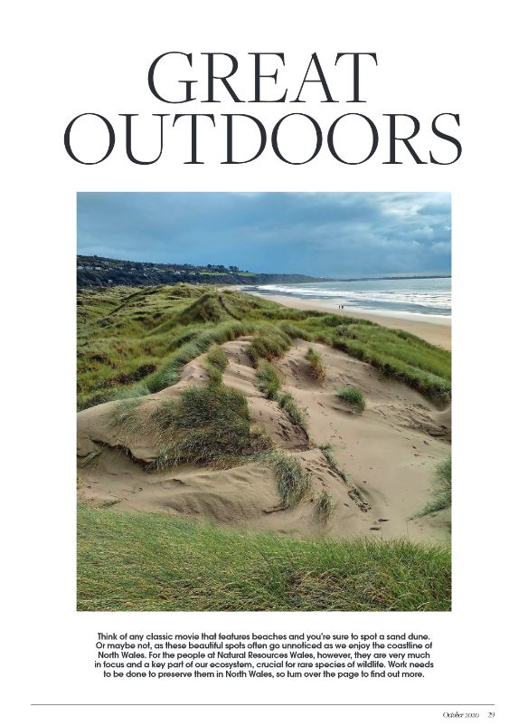 Sands of LIFE tweet media