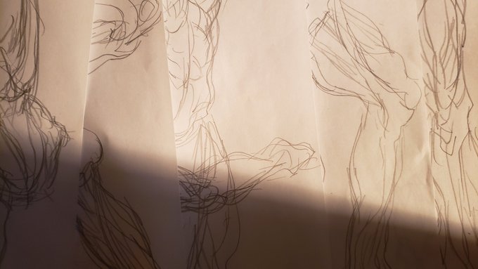 筋トレ六十二日目 