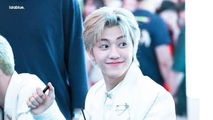 tw // snakes , reptiles , lizards , newts , amphibians , turtles etcjaemin as small baby reptiles !! (thread requested by  @ljnbbh )