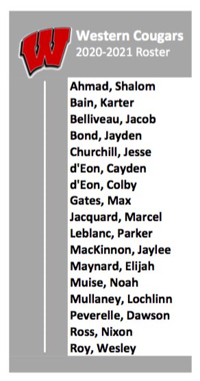 We are pleased to announce our 2020-2021 roster #NSU13AAA

Who wants it? #WC