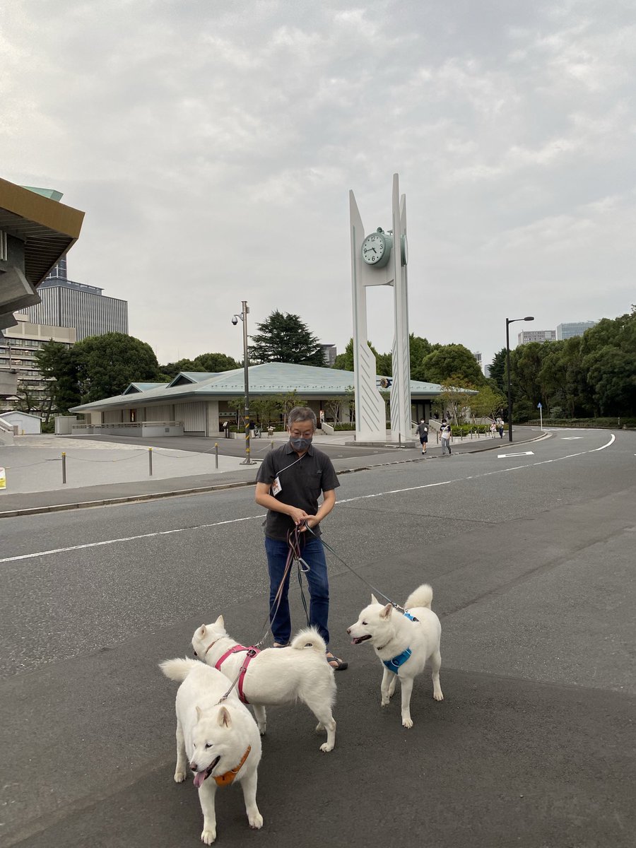 白花母 昨日 久しぶりに北の丸公園に行きました 綺麗になった武道館を見て来ました 新しいカフェ レストラン も出来てました ただ 残念だったのは 駐車場の料金が値上がりしてたこと 前が安すぎたのかも知れないけど