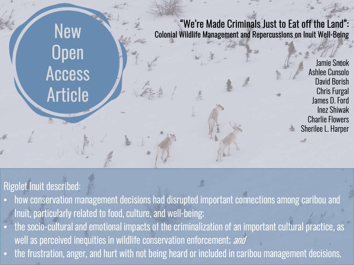 jamieleesnook's tweet photo. Happy to share this new open-access article 📰 that is available regarding potential new ways forward for Mealy Mountain Caribou in Nunatsiavut @TWPFS @AshleeCunsolo @Sherilee_H @ccadapt @Piguttuit @fdnPETF @ACUNSAUCEN @NBCKC_CNSCB @environmentca 
https://t.co/Ijnrx66dJs https://t.co/9gcipuW7Au