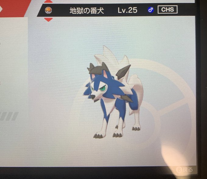 ルガルガン たそがれ レイド