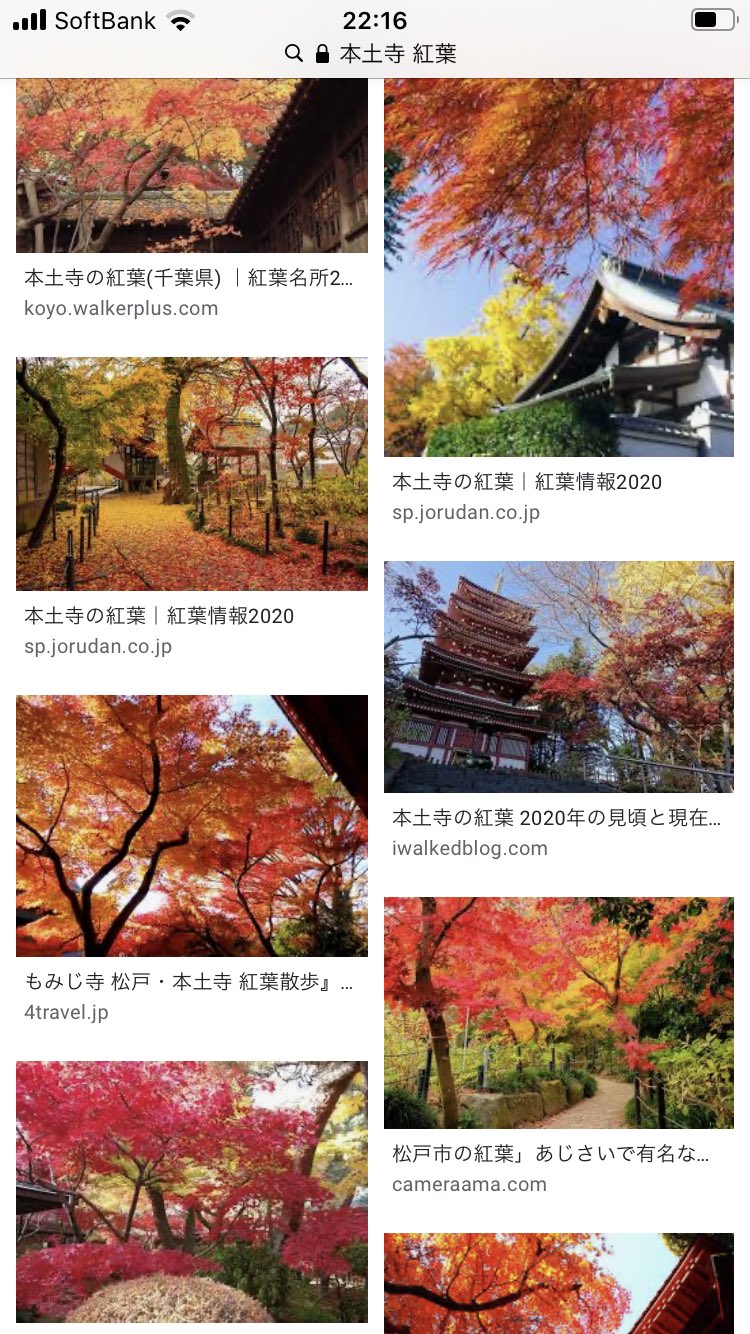 Taro Terahara 会場の本土寺さんは紅葉まっさかり 予定 翌日11 1からは有料期間となりますので 無料でお庭に入れるのはこの日まで T Co Knntsg3ka7 Twitter