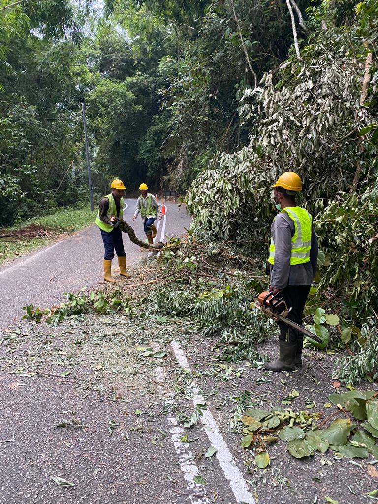 RcBentong's tweet photo. #teamroadcare kerja bersih #pokoktumbang di #ft55 sec41.2 #raub @PetraJayaMP @MOWorks @JKRMalaysia @CSFJ_JKR @JKRPAHANG @JKR_Raub @Roadcare_Msia @Roadcare_Phg @ZTTCSFJ https://t.co/yQKvdpekuG