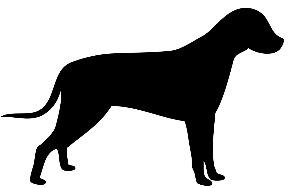 IAmUnblockabl's tweet photo. Hey, what about this dog https://t.co/tZtn2LweVT