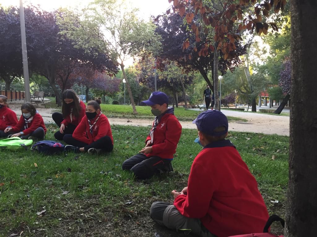 gsorionMadrid's tweet photo. ¡Waingunga ha comenzado una nueva ronda! Mira todo lo que hemos hecho en https://t.co/UqcAiOBMvv ! #gsorion #scouts #scouting #manada #waingunga #lobatos https://t.co/Xv6S178zxt