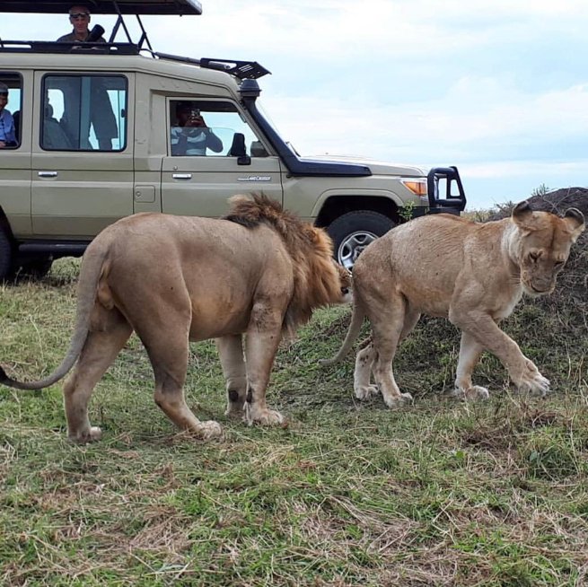 KilimanjaroTan1's tweet photo. #travelnews #tours #vacation #holidays #safaribookings #hotels #hotelbooking #TravPR #travelphotography #travelpressrelease #breakingtravelnews
https://t.co/pMm5xnmrdz https://t.co/nh7Ec6mGiq