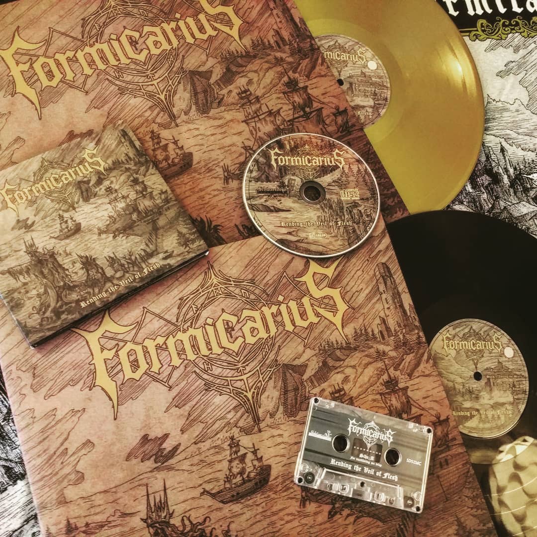 Formicarius tweet media