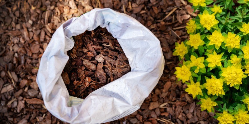 We answer the age old question, should you mulch in the fall in our latest blog. To learn more read our blog here: bit.ly/3ljo92r