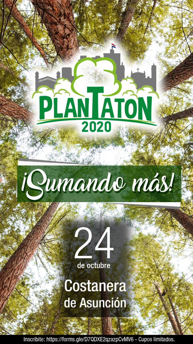 josealvarengab's tweet photo. #SumandoMas #plantaton2020 https://t.co/5gdootKBh9
