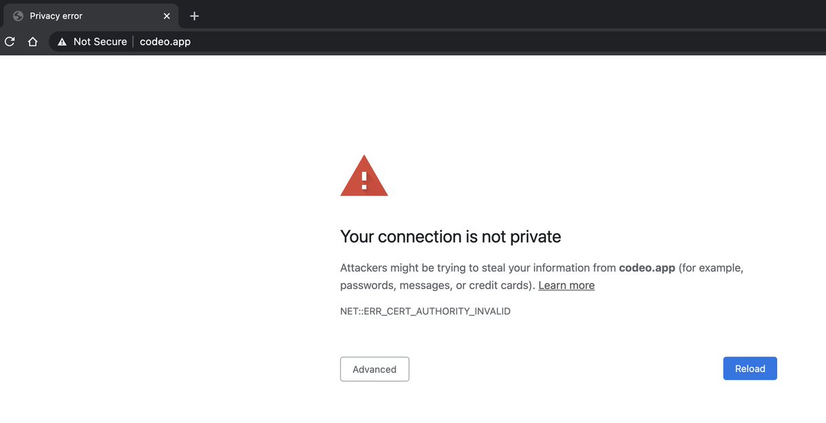 David Toca tweet media