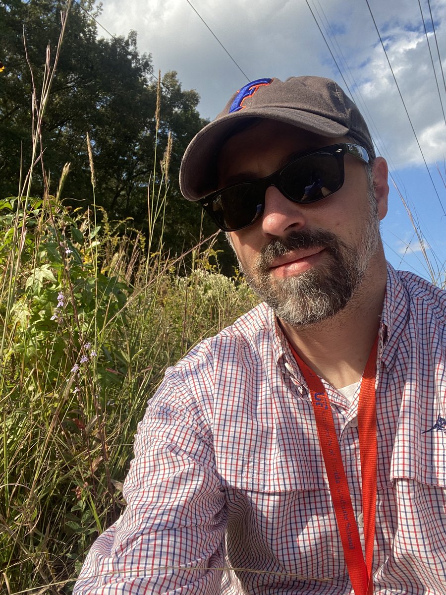 GrantGodden's tweet photo. Postcard from the field. Lobelia canbyi says hello. https://t.co/JQCy0aXy6g