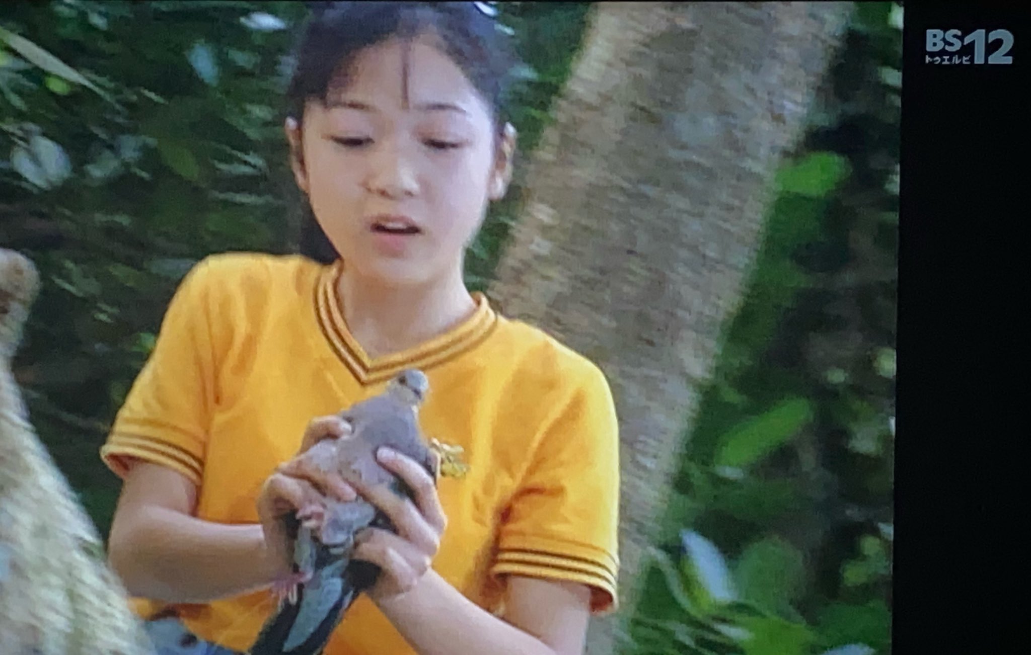 なつお 6 19札幌lemかぐや様出勤イクシカ発動 Bs12 Bs222 Nhk 朝ドラ ちゅらさん 古波蔵恵里 幼少時代 浦野未来 さん シャツがシースルー なのか目立ってる気がする私って変かな T Co N0uxbrxdsd Twitter