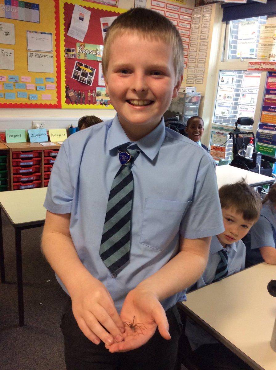 StBernadettesrc's tweet photo. One of our brave year 5/6 students helped rescue one of God’s courageous creatures this afternoon. https://t.co/hrZhS2FGgo