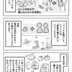 ペットの一生が幸せなものになるかどうかは飼い主次第!飼うなら「お金」と「心」に余裕が必要