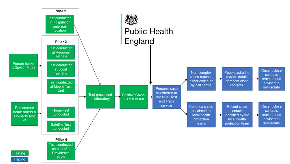 A thread with some of the main details:The key point (and perhaps the second most important revelation today) is that sitting at the very apex of Britain's testing system is a PHE computer system which processes test results and sends positive cases onto Test & Trace.