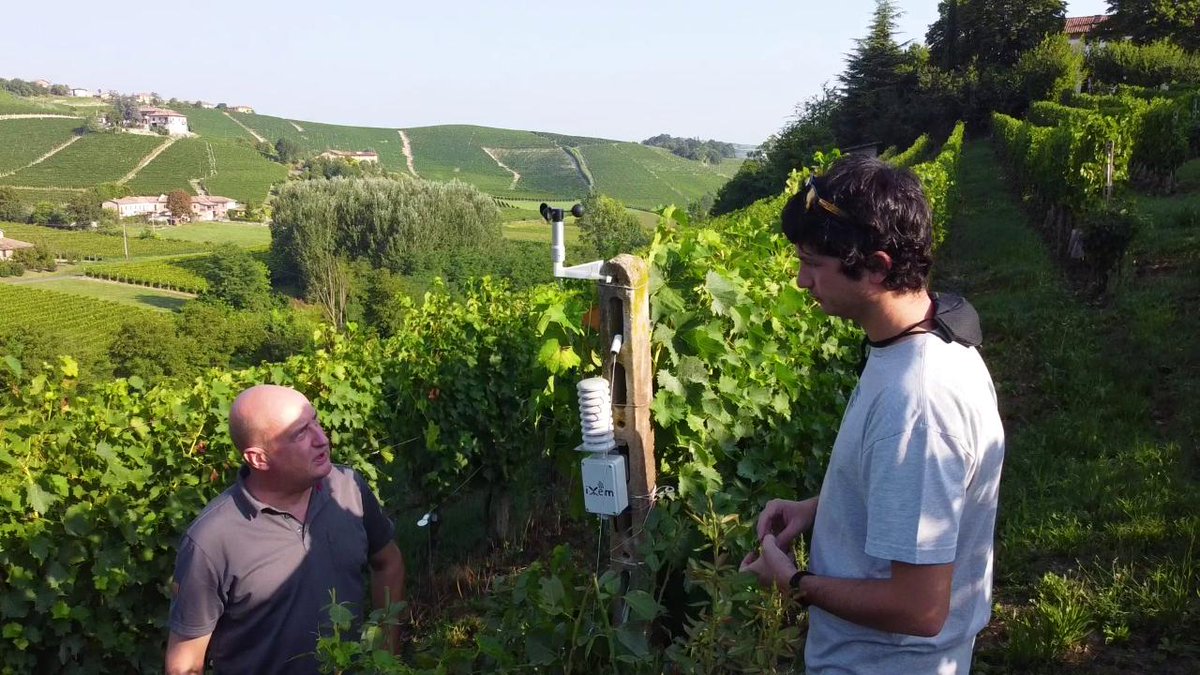 L'internet delle piante: la vigna digitale nelle campagne del Monferrato video.repubblica.it/green-and-blue… #natura