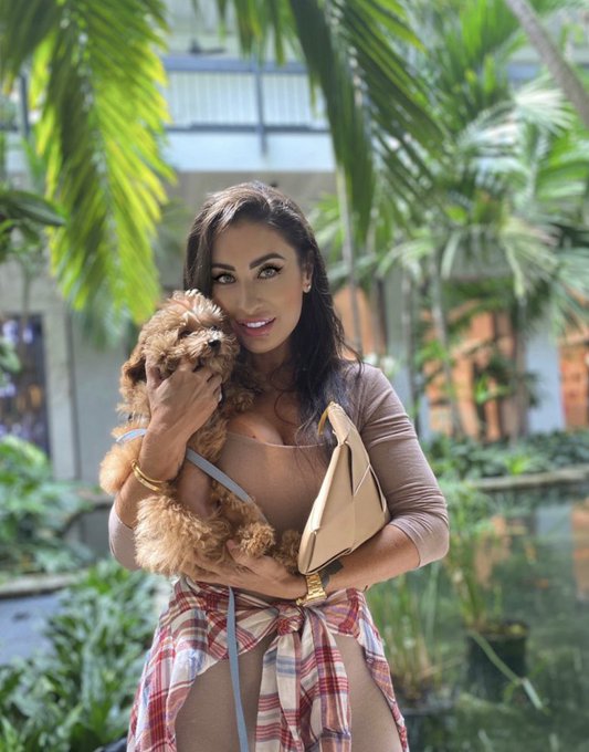 Isn&rsquo;t my best friend puppy sooooo cute ? https://t.co/JqRQnmQpu6<a href="/tag/halloween2019"class="tags"><span>#halloween2019</span></a>