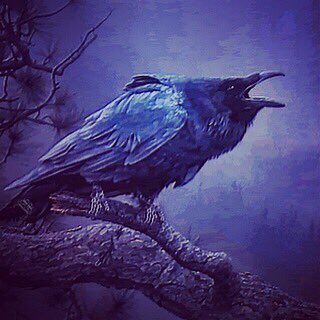 SpencerMichaud's tweet image. ☉13°♎︎ ☌ Algorab
* Constellation: Corvus
* (The Crow)
* Failed to Fill Apollo’s Sacred Cup
* Distracted by Figs (Earthly Desire)
* Awareness of Potential Diversions
* Stay Centered on the Goal
* Vitality through Honesty &amp;amp; Focus
* #astrology #fixedstars #algorab #sun #libra