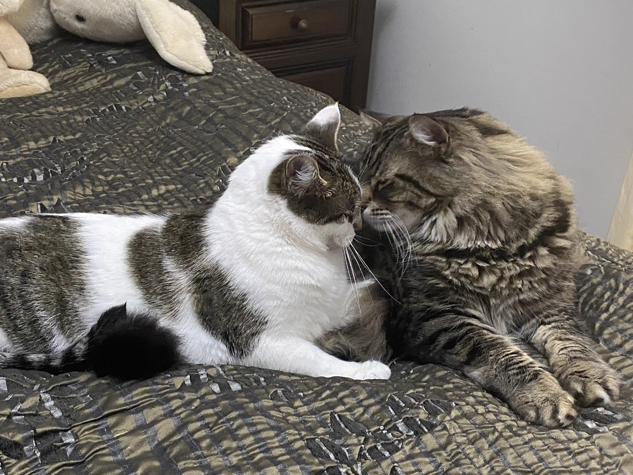 @tkw0v0wkt うん、その通り。でも可愛い家族なのです 