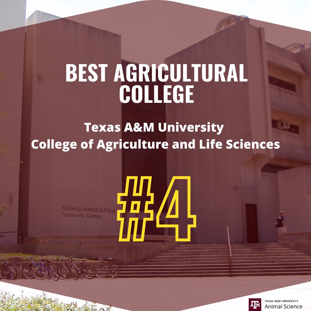 Texas A&amp;M University ranked #4 out of a 140 agricultural colleges in the United States.  We are so proud to be apart of the College of Agriculture and Life Sciences. #tamuansc #tamu #bestagcollege

View the full rank list here: seedworld.com/member-innovat…