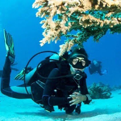 travelchale's tweet photo. Give yourself a gift of new life experience in Andaman and Nicobar Islands.
#andamanislands #beach #fun #tour #travelchale https://t.co/Jw74E8QL27