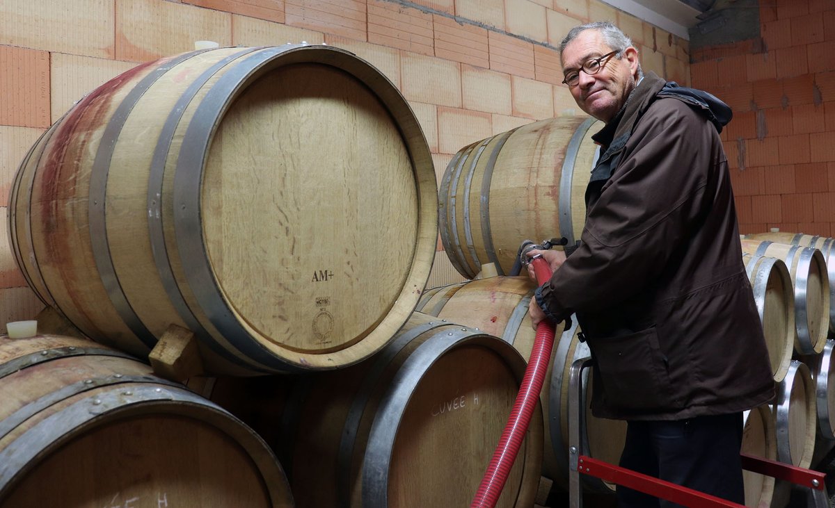 Finally, #vintage2020 is put in oak barrels, last stage of the #winemaking. The #wines will rest in our #cellar for 12 to 18 months, depending on the cuvee. 
#Bourgogne #Burgundy #PinotNoir #Chardonnay #vinification #vigneron #viticulture #harvest2020 #vendange2020 #entonnage